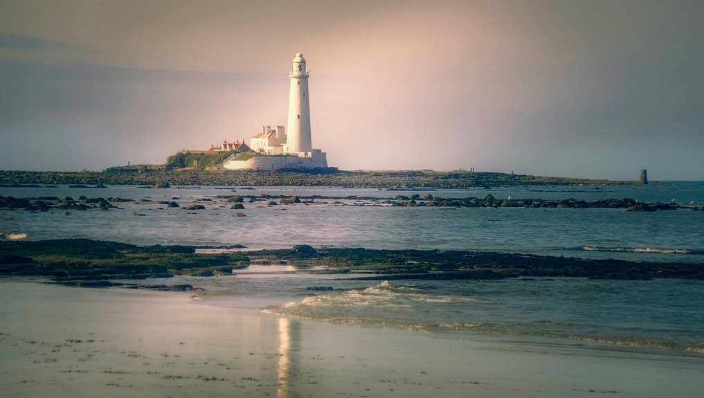 api attribute guide overview