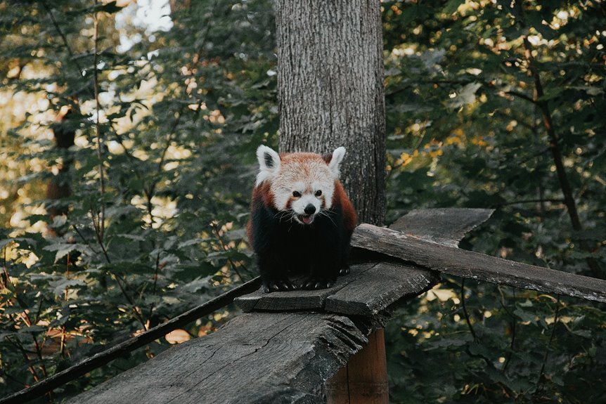 terrafuse quantum log entry