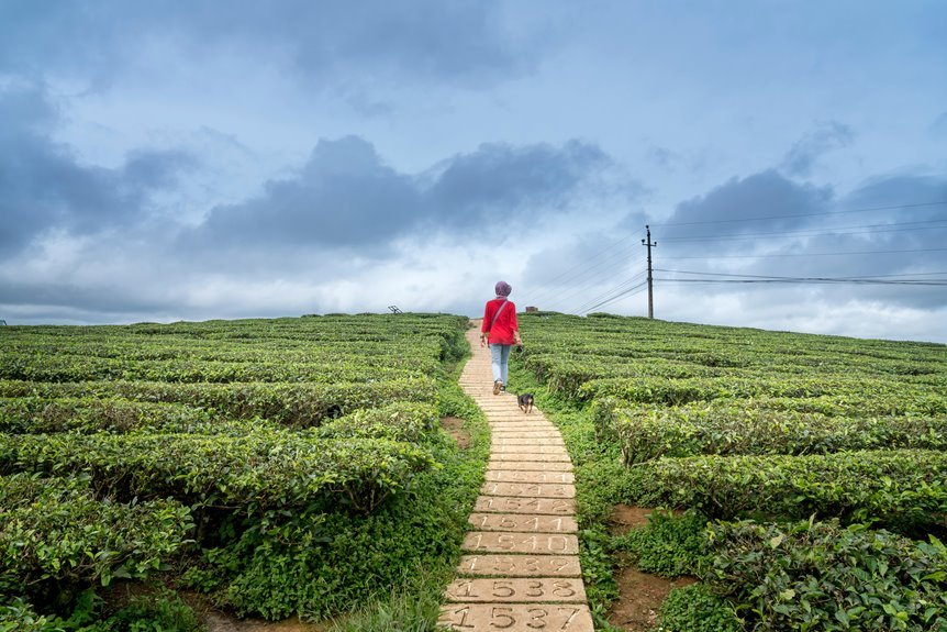 find sim owner online