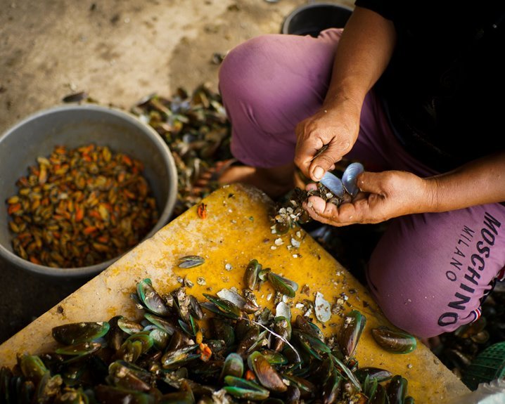 healtrace manual by zenthera