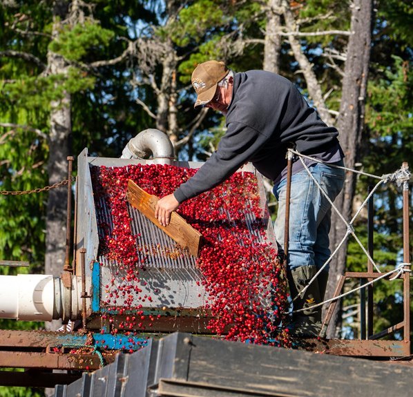 naturion cranberryshards vitabridge manual