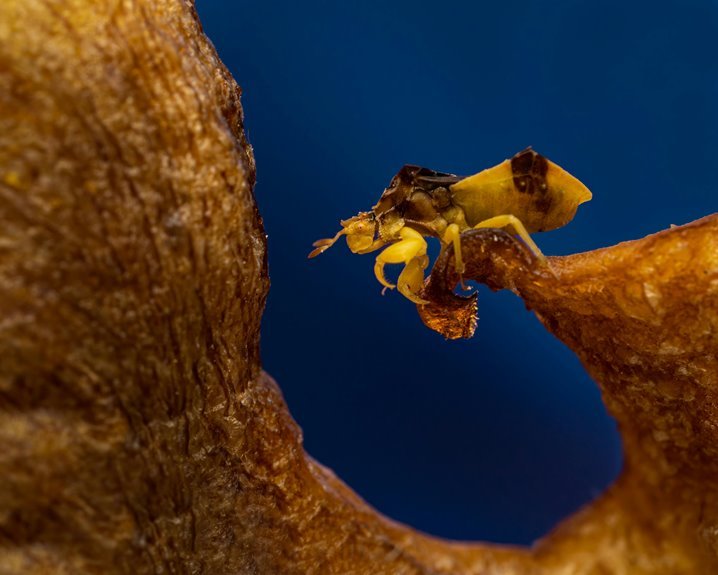 activate excel macros guide